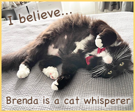 Brenda Bell